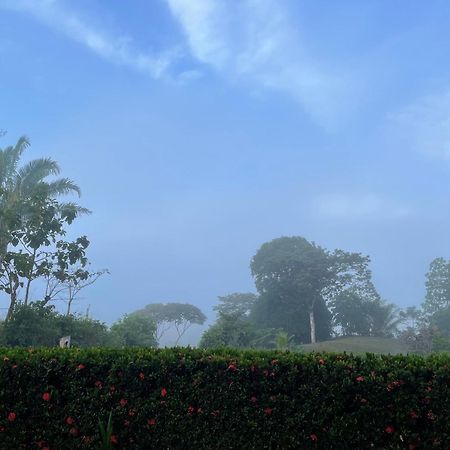 Valles Of Osa Palmar Sur 외부 사진