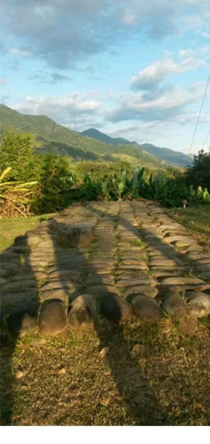 Valles Of Osa Palmar Sur 외부 사진
